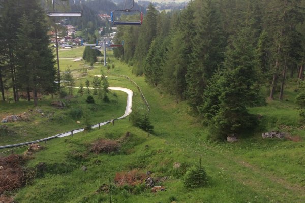 1_trasse_ehem_schlepplift_blick_talwaerts.jpg